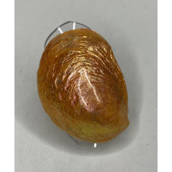 Bague coquillage naturel