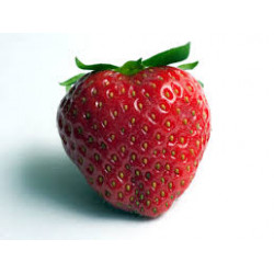 Sorbet Fraise Bio en 1 litre