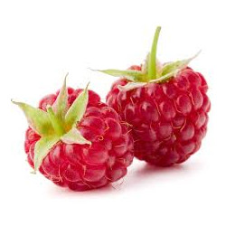 Sorbet Framboise Bio en 120 ml